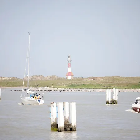 Seaflower 304 Located Directly On The * Nieuwpoort