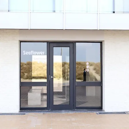 Seaflower 304 Located Directly On The