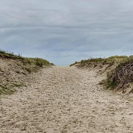 Seaflower 304 Located Directly On The